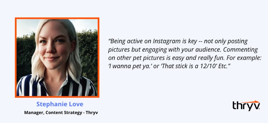 how to become a pet influencer tip from stephanie love